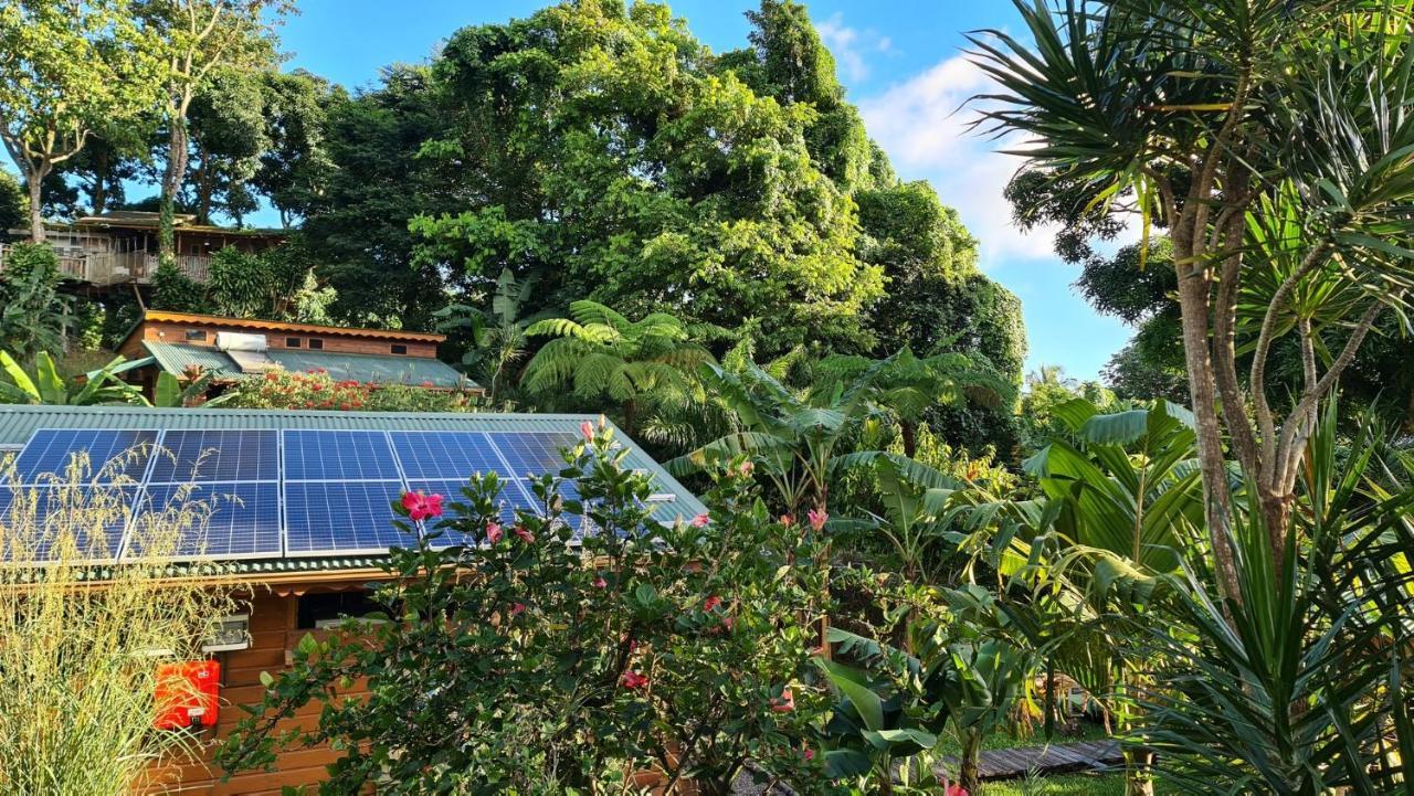 Les Bananes Vertes Ecolodges Saint-Claude Exterior photo